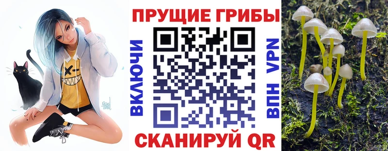 Галлюциногенные грибы прущие грибы  Рузаевка 